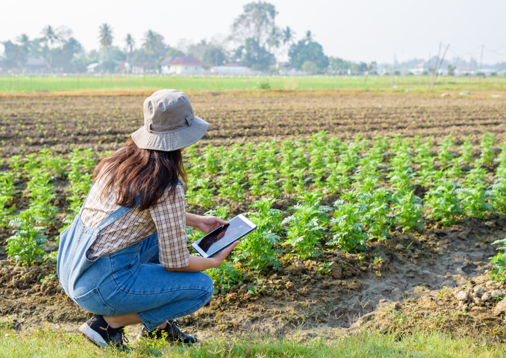 Lahan pertanian di Desa Orobatu